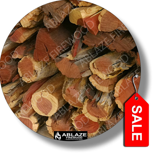 Namibian Kameeldoring (Camel Thorn) | Half Ton Bulk - 500kg