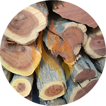 Namibian Sekelbos (Sicklebush) | Sold Per 17kg Bag