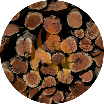 Namibian Sekelbos (Sicklebush) | Half Ton Bulk - 500kg