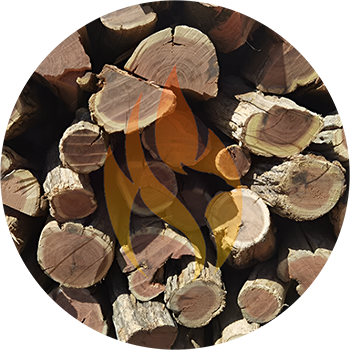Namibian Sekelbos (Sicklebush) | 1 Ton Bulk - 1000kg