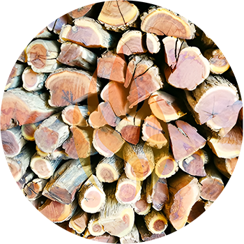Namibian Sekelbos (Sicklebush) | 2 Ton Bulk - 2000kg
