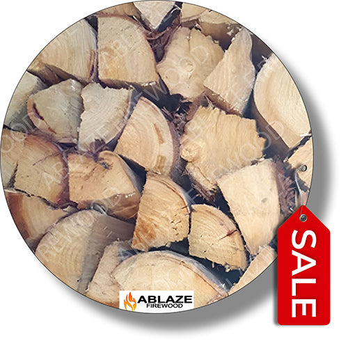 Bluegum (Bloekom) | 500 Loose Pieces