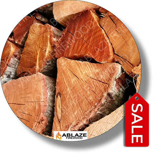 Black Wattle | 500 Loose Pieces