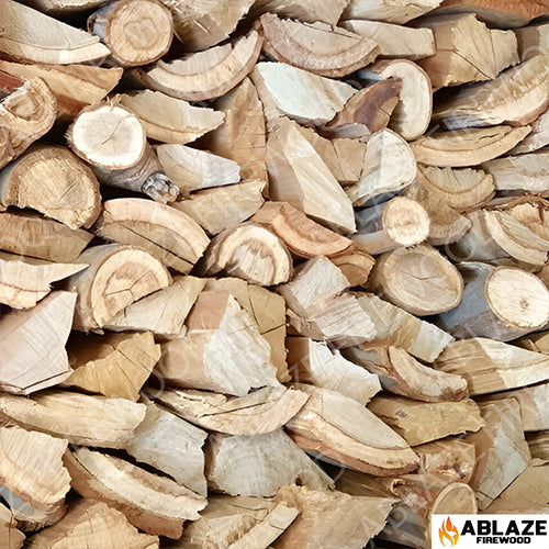 Bluegum | Sold Per Large Bag