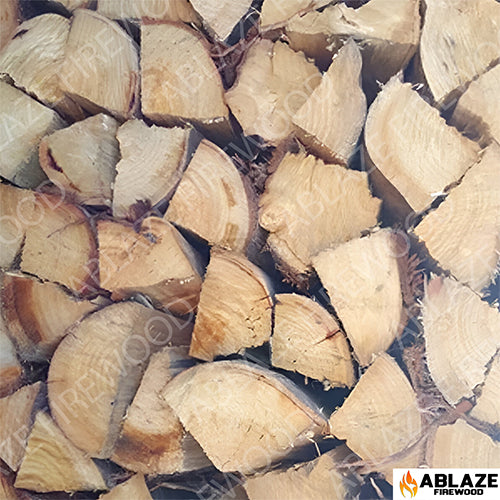 Bluegum (Bloekom) | 500 Loose Pieces