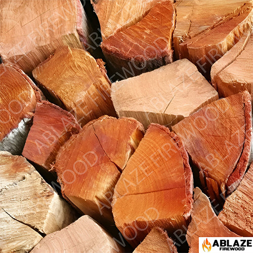 Black Wattle | 250 Loose Pieces