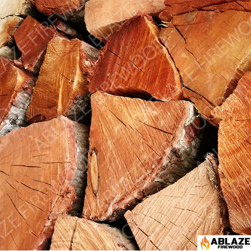 Black Wattle | 500 Loose Pieces