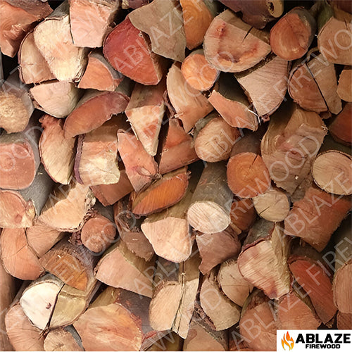 Black Wattle | 750 Loose Pieces