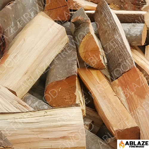 Black Wattle | 1500 Loose Pieces