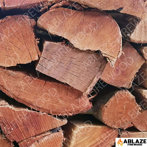 Black Wattle | 100 Loose Pieces