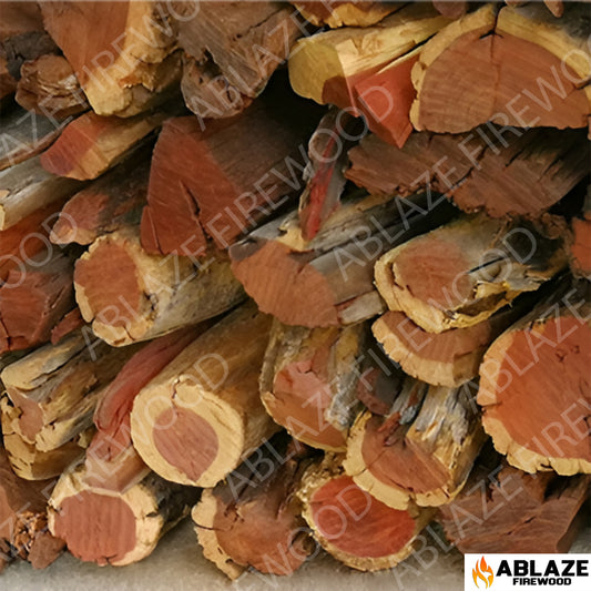 Namibian Kameeldoring (Camel Thorn) | Half Ton Bulk - 500kg