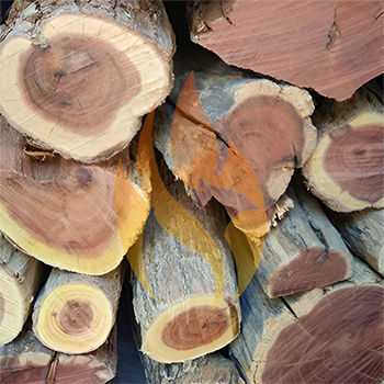 Namibian Sekelbos (Sicklebush) | Sold Per 17kg Bag