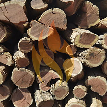 Namibian Sekelbos (Sicklebush) | 1 Ton Bulk - 1000kg