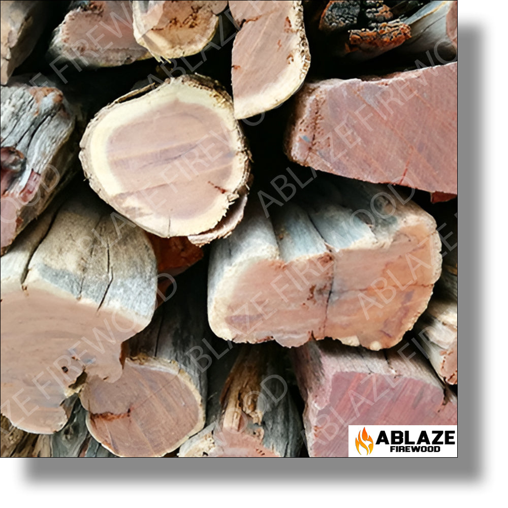 Namibian Sekelbos (Sicklebush) - Fire and Braai