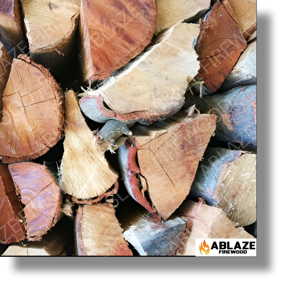Black Wattle - Fire & Braai