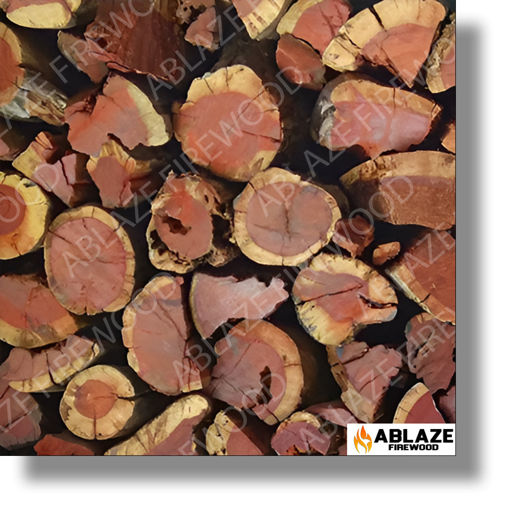 Namibian Kameeldoring (Camel Thorn) - Braaiwood