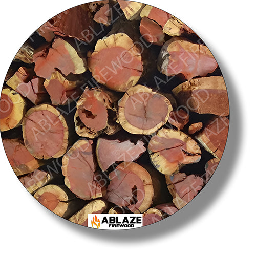 Namibian Kameeldoring (Camel Thorn) | Sold Per 17kg Bag