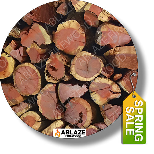 Namibian Kameeldoring (Camel Thorn) | Sold Per 17kg Bag
