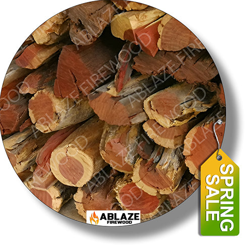 Namibian Kameeldoring (Camel Thorn) | Half Ton Bulk - 500kg