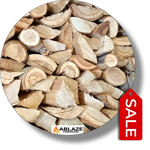 Bluegum | Sold Per Large Bag