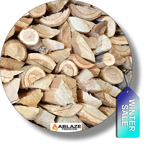 Bluegum | Sold Per Large Bag