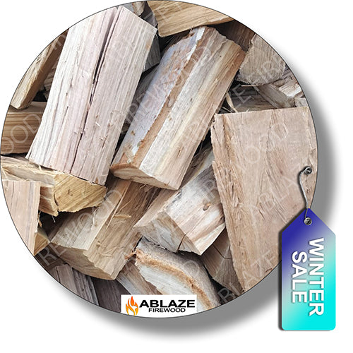 Bluegum (Bloekom) | 2000 Loose Pieces
