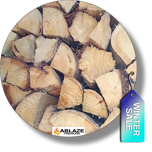 Bluegum (Bloekom) | 500 Loose Pieces